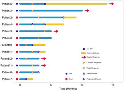 Efficacy and safety analysis of combination therapy based on mitoxantrone hydrochloride liposome injection (Lipo-MIT) in relapsed/refractory NK/T-cell lymphoma
